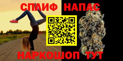 дмт Славгород